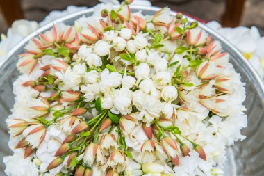 Saygı için çiçek, Tayland.