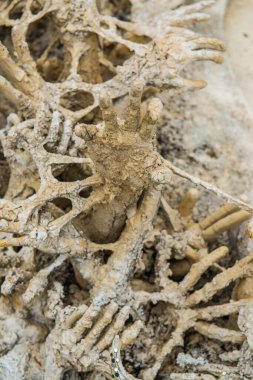 Rong Khun Tapınağı, Tayland 'da el işi sanatları..