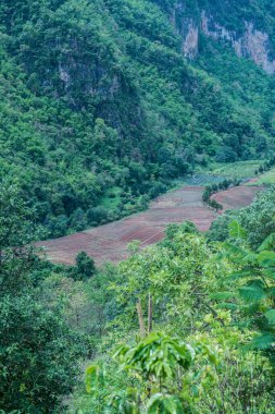 Tayland 'ın Chiangmai bölgesindeki dağ manzarası..