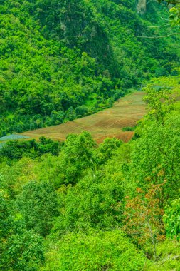 Tayland 'ın Chiangmai bölgesindeki dağ manzarası..