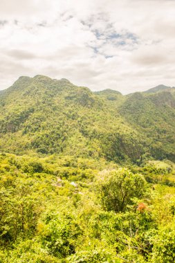 Tayland 'ın Chiangmai bölgesindeki dağ manzarası..