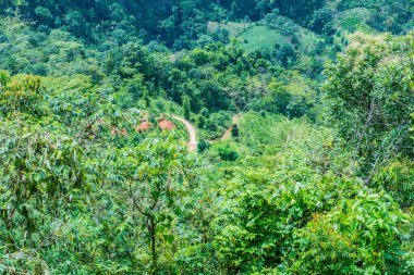 Tayland 'ın Chiangmai bölgesindeki dağ manzarası..