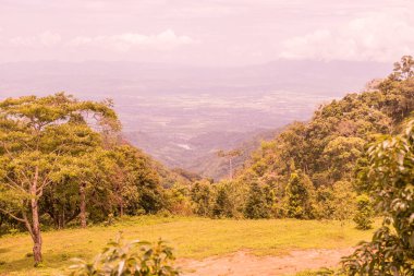 Tayland 'ın Chiangmai bölgesindeki dağ manzarası..