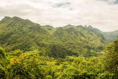 Tayland 'ın Chiangmai bölgesindeki dağ manzarası..