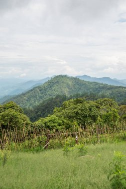 Tayland 'ın Chiangmai bölgesindeki dağ manzarası..