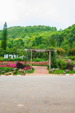 80. bahçe Doi Ang Khang Kraliyet Tarım İstasyonu, Tayland.