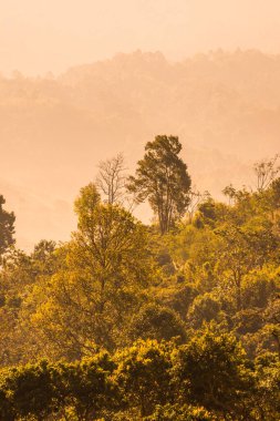 Phu Langka Ulusal Parkı, Tayland Güzel Dağ Manzarası.