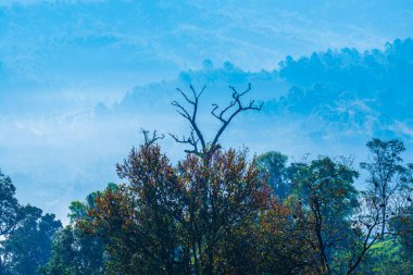 Phu Langka Ulusal Parkı, Tayland Güzel Dağ Manzarası.