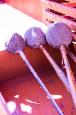 Tayland usulü Dipper, Tayland.