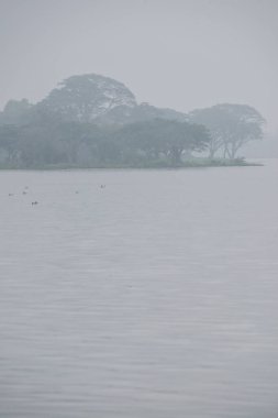 Kwan Phayao Gölü kış mevsiminde, Tayland.