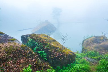 Tayland 'da sisli göl manzarası.
