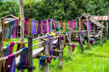 Tayland 'ın Pua bölgesinde küçük köprüsü olan pirinç tarlası..