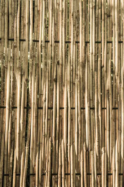 Fond Bambou Avec Lumière Soleil Soirée Thaïlande — Photo