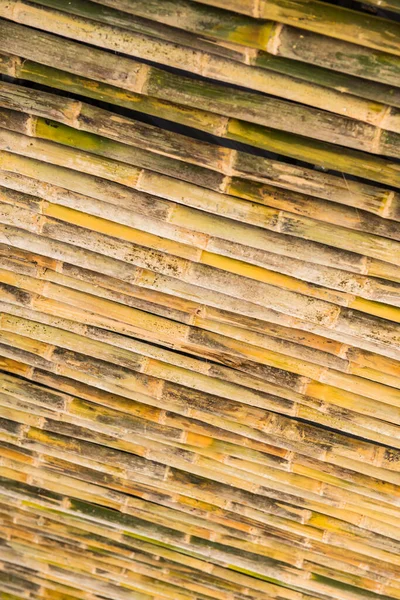 Muro Bambù Decorazione Thailandia — Foto Stock