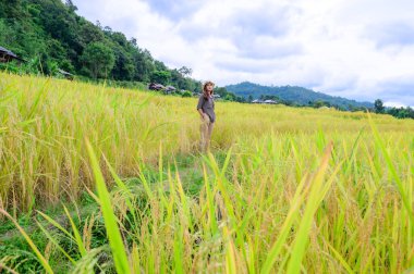 Asian Woman with Pa Bong Piang Rice Terraces at Chiang Mai Province, Thailand.