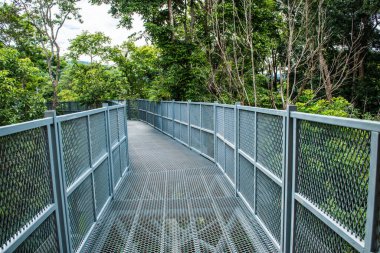 Tayland 'ın Chiangmai şehrindeki paraşüt yolu..