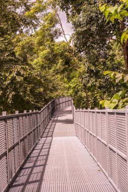 Tayland 'ın Chiangmai şehrindeki paraşüt yolu..