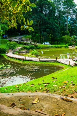 Doğal parkın manzarası, Tayland.