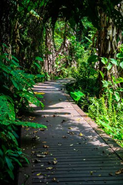 Phu Sang, Tayland 'da doğa yolu..