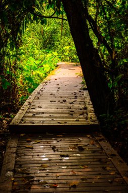 Phu Sang, Tayland 'da doğa yolu..