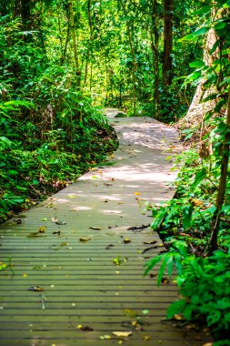 Phu Sang, Tayland 'da doğa yolu..