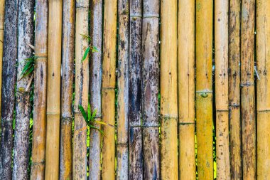Bambu çit arka planı, Tayland.