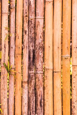 Bambu çit arka planı, Tayland.