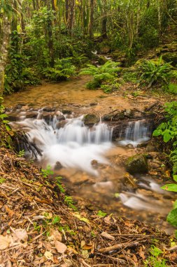 Su, Tayland 'ın Chiang Rai ilindeki Khunkorn şelalesinde akıyor..