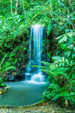 Tayland 'ın Chiang Rai eyaletindeki Khunkorn şelalesinde küçük bir şelale..