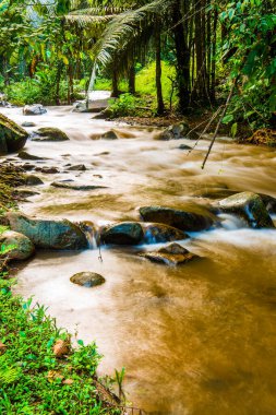 Su, Tayland 'ın Chiang Rai ilindeki Khunkorn şelalesinde akıyor..