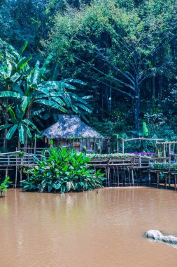 Mae Fah Luang Garden Peyzajı, Tayland.