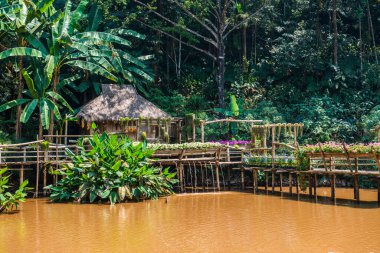 Mae Fah Luang Garden Peyzajı, Tayland.