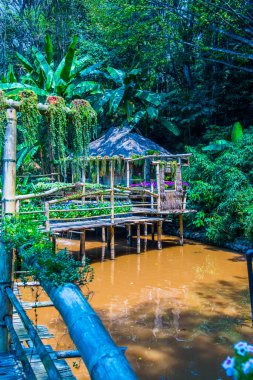 Mae Fah Luang Garden Peyzajı, Tayland.