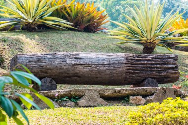 Park, Tayland 'da kütük tezgahı.