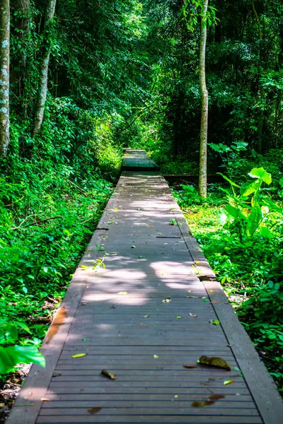 Phu Sang, Tayland 'da doğa yolu..