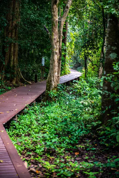 Phu Sang, Tayland 'da doğa yolu..
