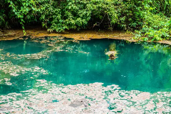 Tayland 'daki Phu Sang Milli Parkı' nda sıcak bir gölet..