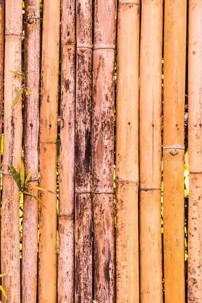 Bambu çit arka planı, Tayland.