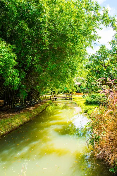 Park Cherntawan International Meditation Center Thajsko — Stock fotografie