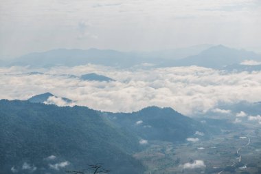 Tayland 'ın Chiangrai eyaletindeki Phu Chi Fa Manzarası' nda Dağ Manzarası.