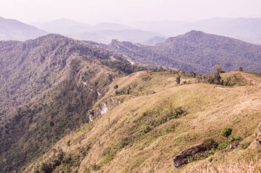 Tayland 'ın Chiangrai eyaletindeki Phu Chi Fa Manzarası' nda Dağ Manzarası.
