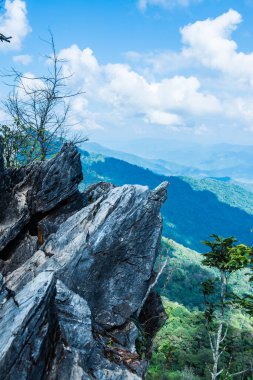Chiangrai, Tayland 'da Doi Pha Tang' da Manzara Noktası.