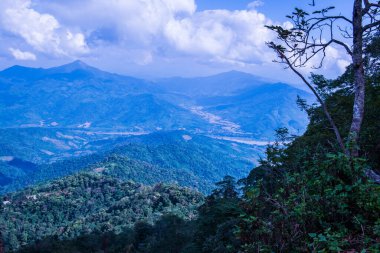 Tayland 'ın Chiangrai eyaletindeki Doi Pha Tang' da Dağ Manzarası.