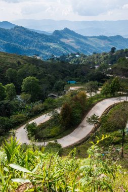 Tayland 'ın Chiangrai eyaletindeki Doi Pha Tang' da Dağ Manzarası.