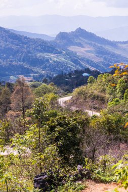 Tayland 'ın Chiangrai eyaletindeki Doi Pha Tang' da Dağ Manzarası.