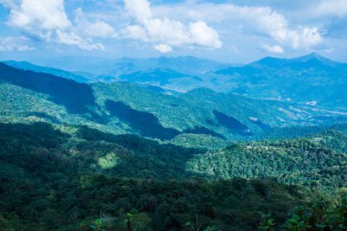 Tayland 'ın Chiangrai eyaletindeki Doi Pha Tang' da Dağ Manzarası.