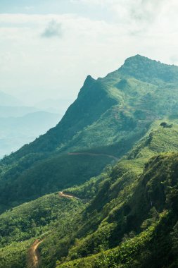Tayland 'ın Chiangrai eyaletindeki Doi Pha Tang' da Dağ Manzarası.