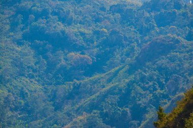 Tayland 'ın Chiangrai eyaletindeki Doi Pha Tang' da Dağ Manzarası.