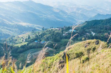 Tayland 'ın Chiangrai eyaletindeki Doi Pha Tang' da Dağ Manzarası.