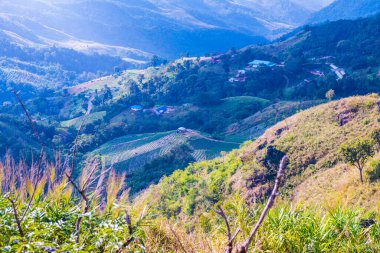 Tayland 'ın Chiangrai eyaletindeki Doi Pha Tang' da Dağ Manzarası.